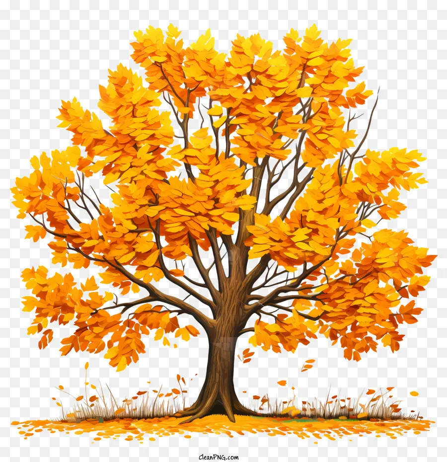 осеннее дерево，Осенние Листья PNG