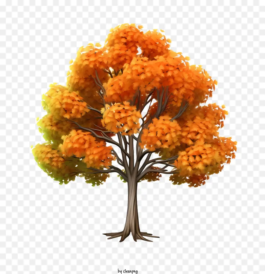 осеннее дерево，апельсиновое дерево PNG