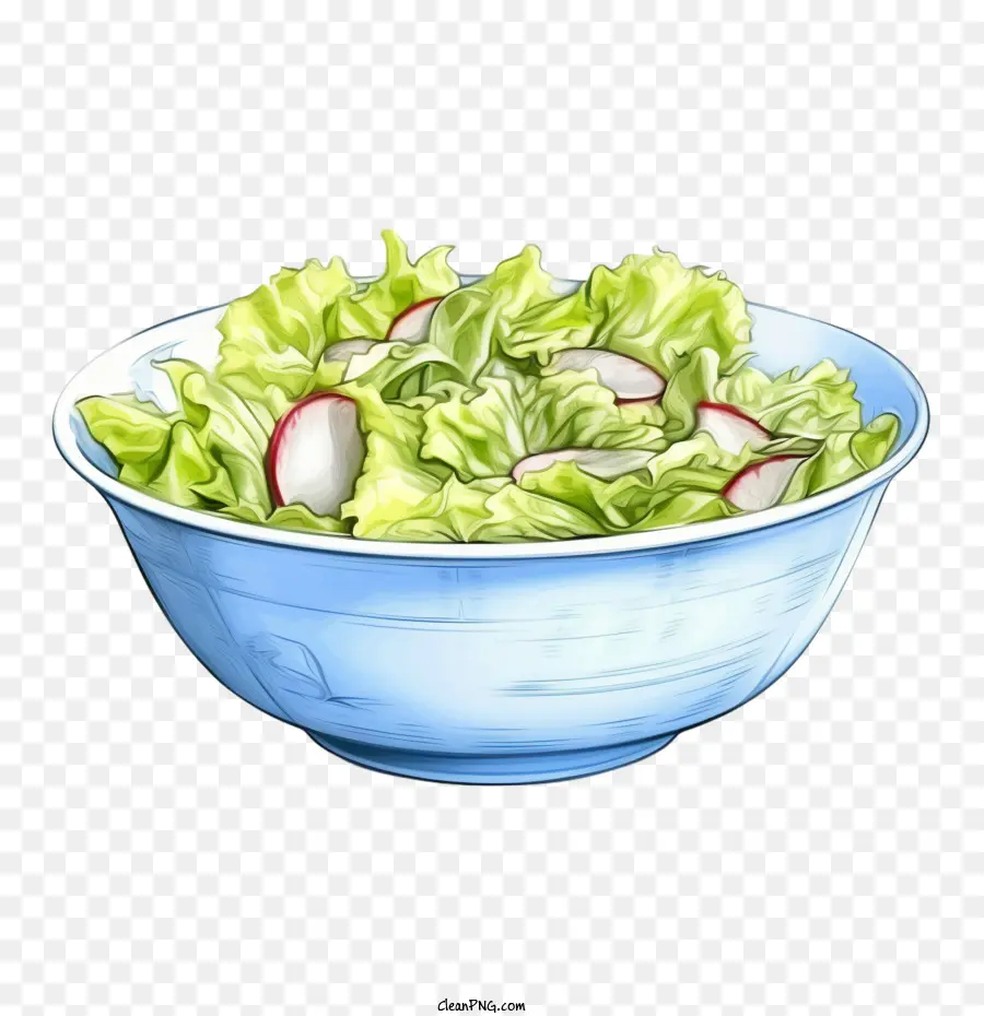 Салат，Lettuce PNG