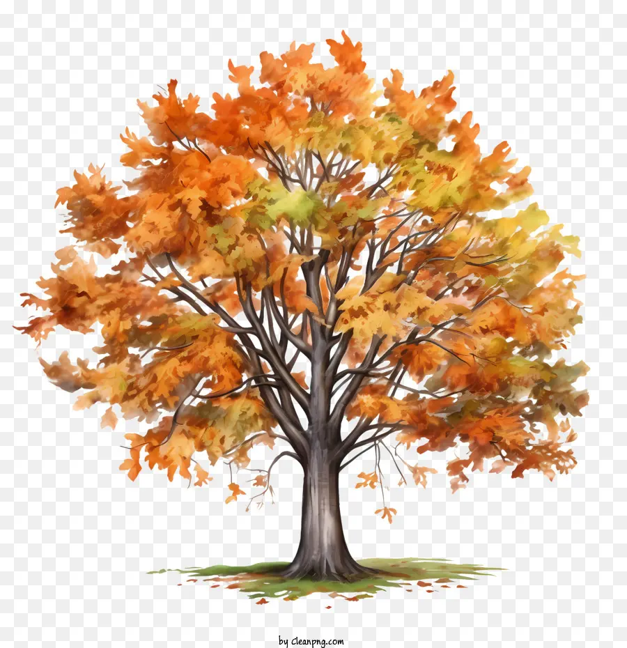 осеннее дерево，Осень PNG