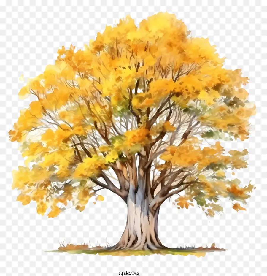 осеннее дерево，осенние листья PNG