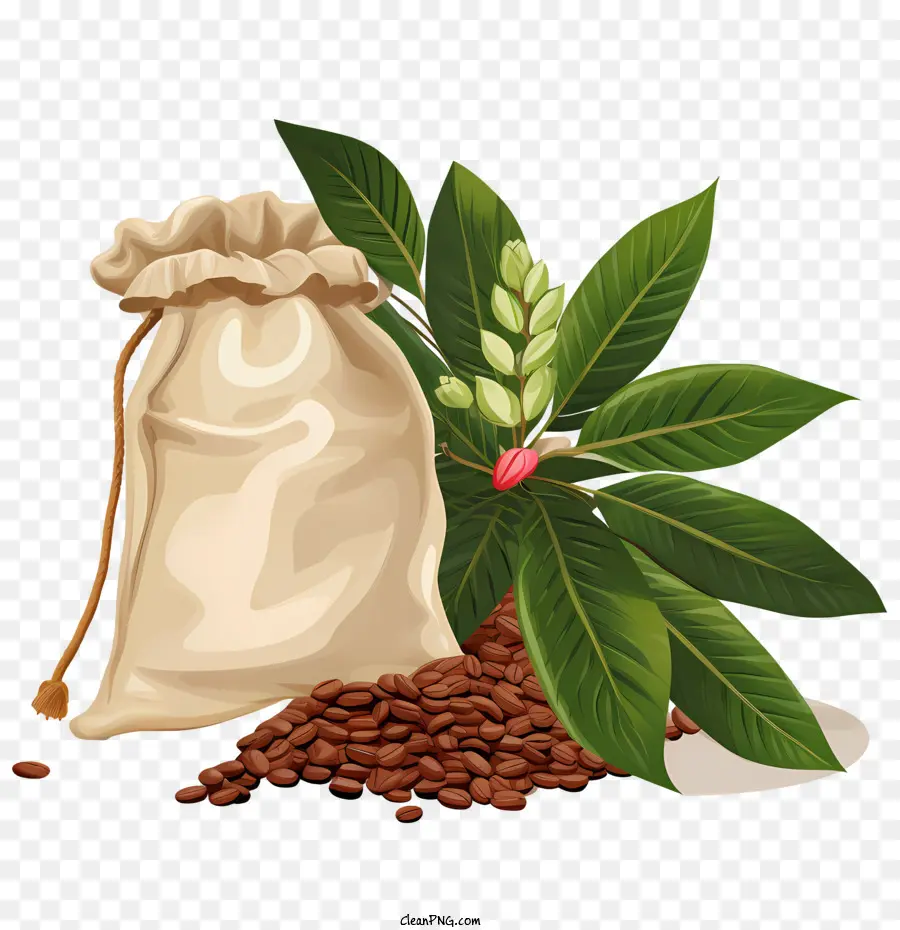 Кофейные зерна сумка，Сумка PNG