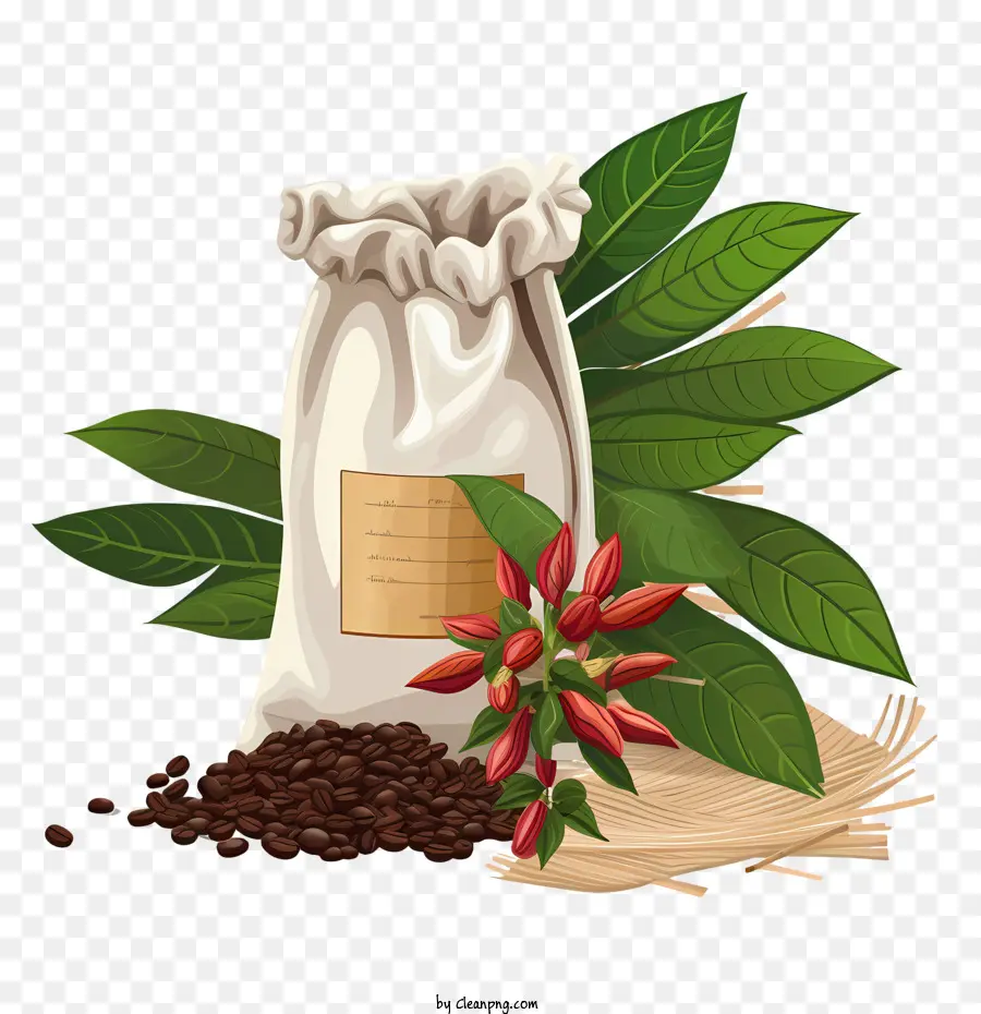 Кофейные зерна сумка，Pepper PNG