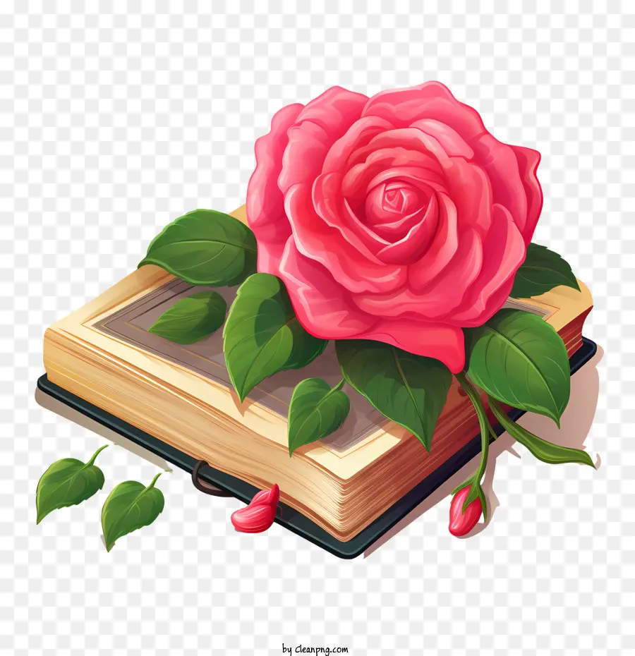 Национальный день словаря，Pink Rose PNG