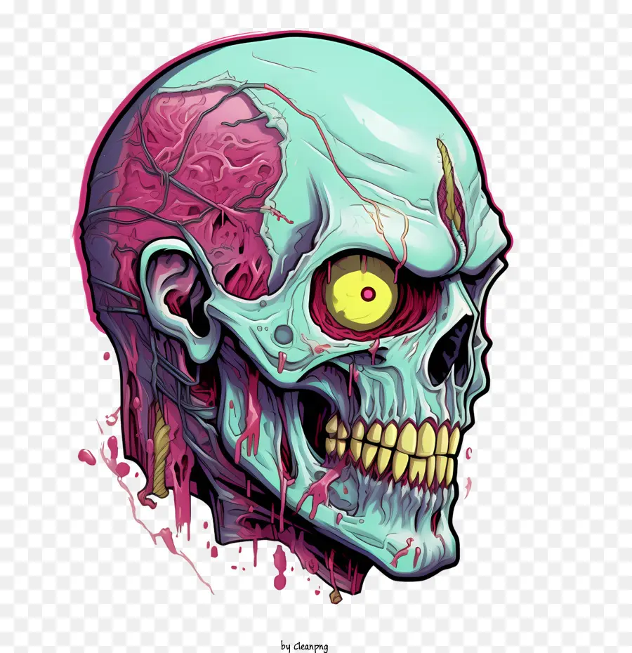 зомби черепа，череп PNG