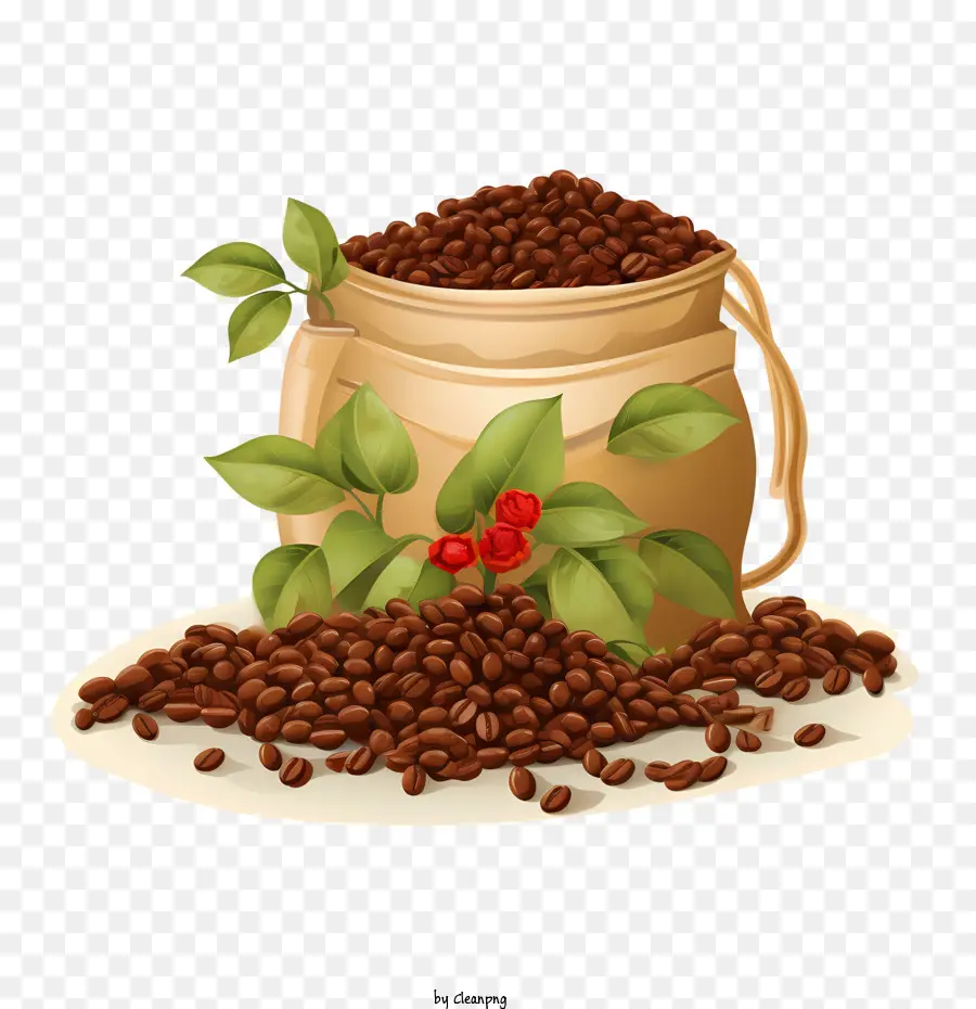 кофе в зернах，Ява PNG