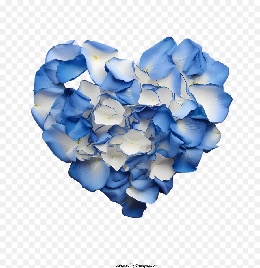 Голубые лепестки роз，сердце PNG