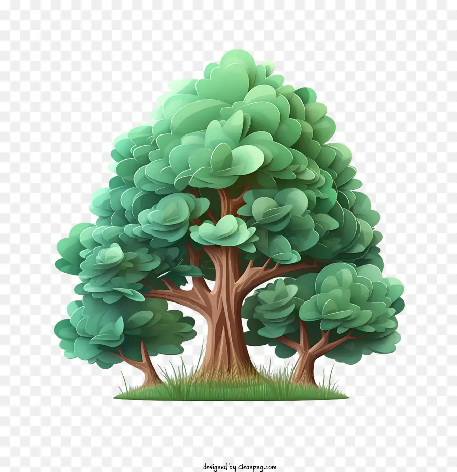 вечнозеленое дерево，зеленые деревья PNG