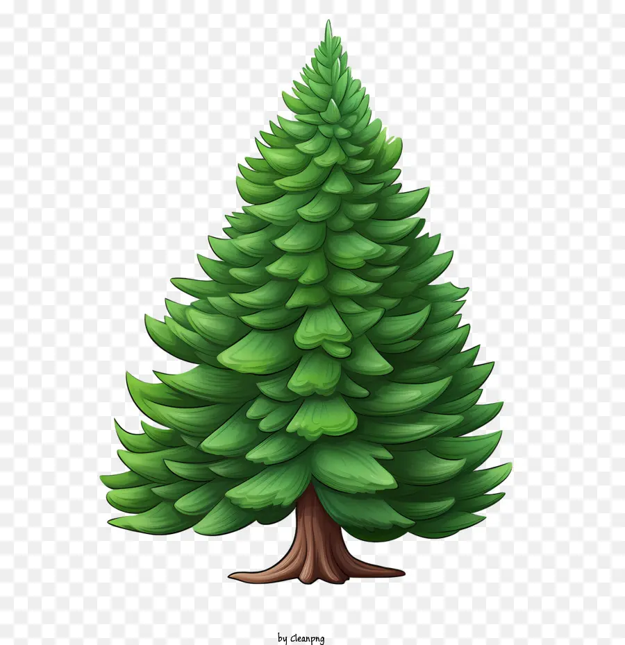 вечнозеленое дерево，дерево PNG
