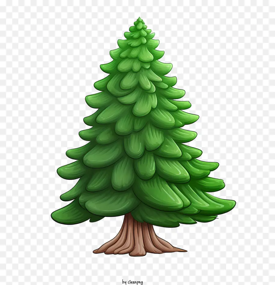 вечнозеленое дерево，Дерево PNG