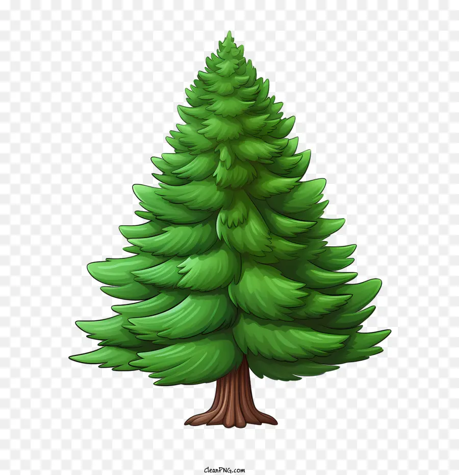 вечнозеленое дерево，высокий PNG