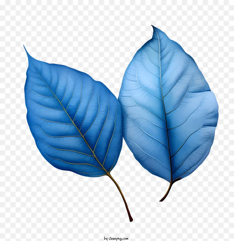 синие листья，акварельная живопись PNG