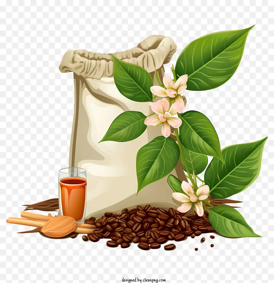 кофе в зернах，кофе PNG