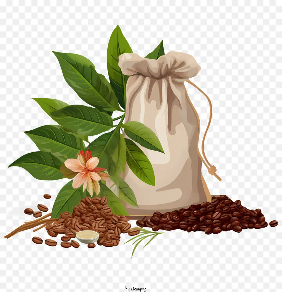 кофе в зернах，кофейная гуща PNG