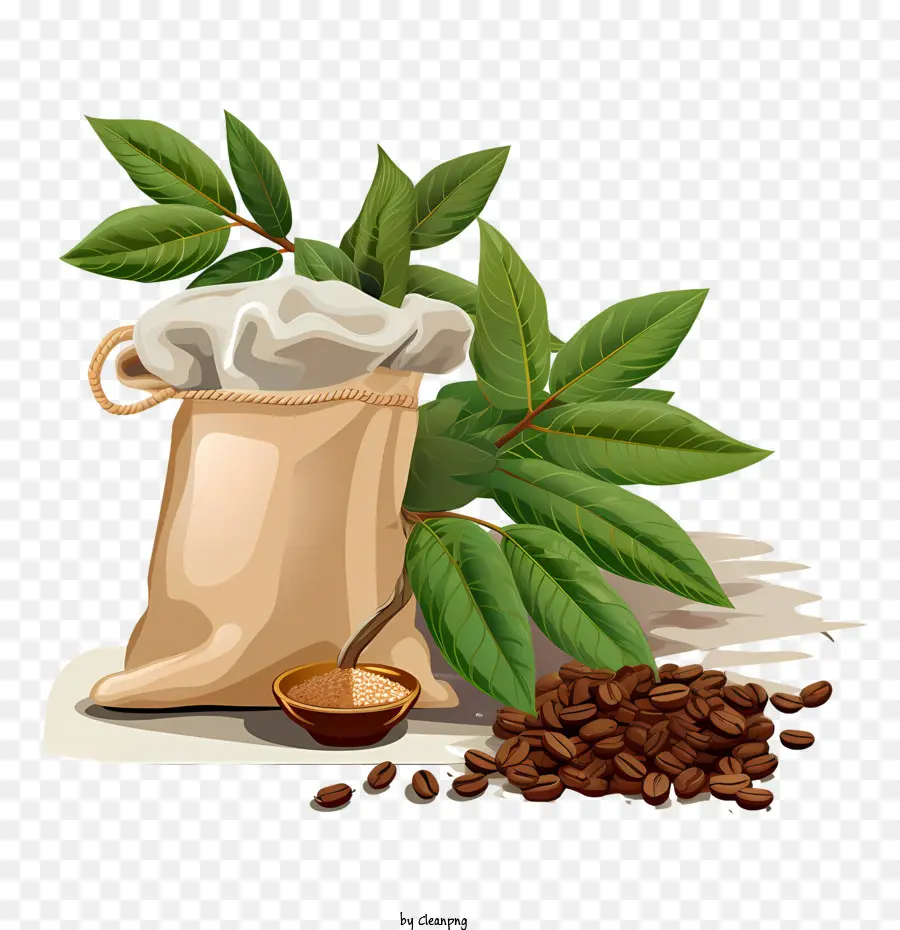 кофе в зернах，Сумка PNG