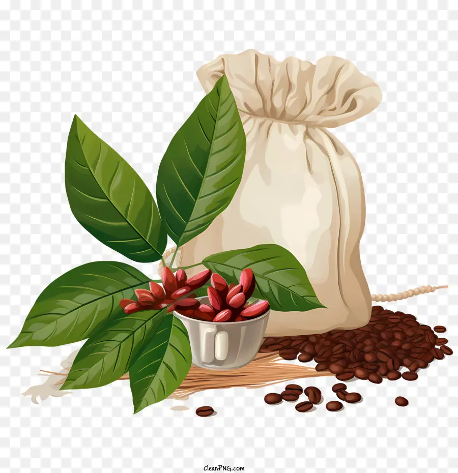 кофе в зернах，Сумка PNG