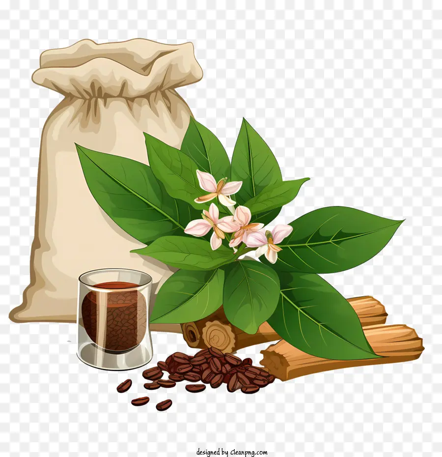 кофе в зернах，Шоколад PNG