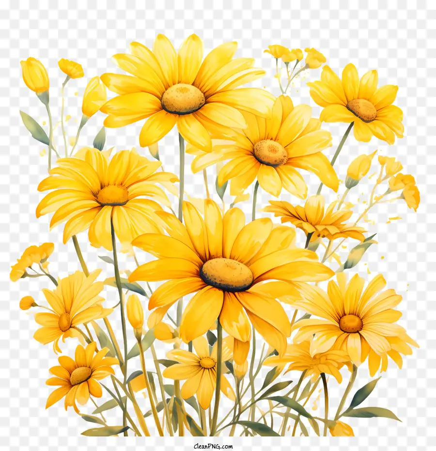 желтые цветы，цветы PNG