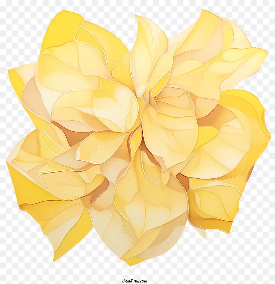 Желтые лепестки роз，желтый PNG