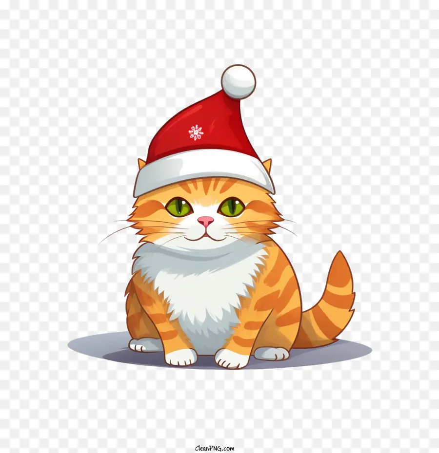 рождественский кот，кошка PNG