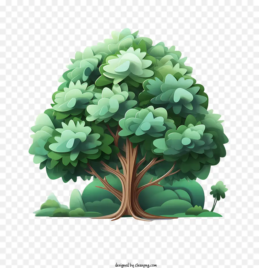 вечнозеленое дерево，зеленое дерево PNG