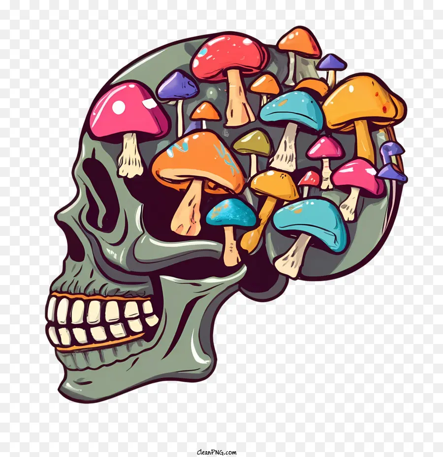 Черепа грибы，грибы PNG