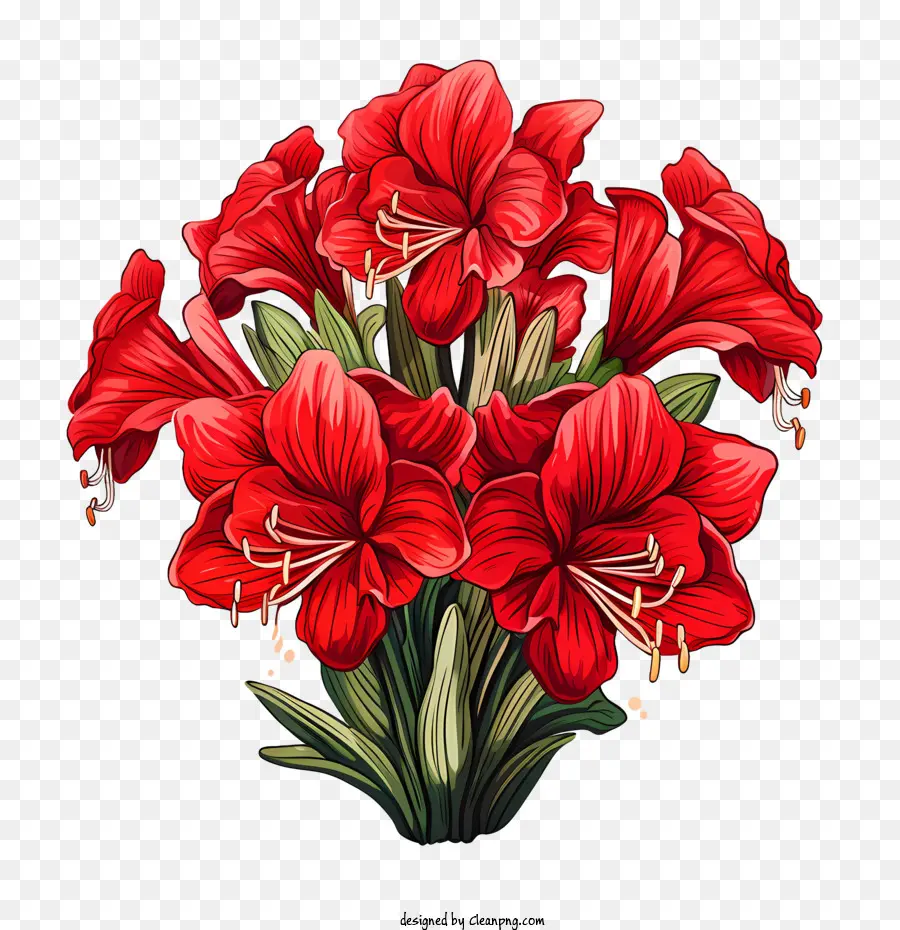 Цветок Амариллис，букет PNG