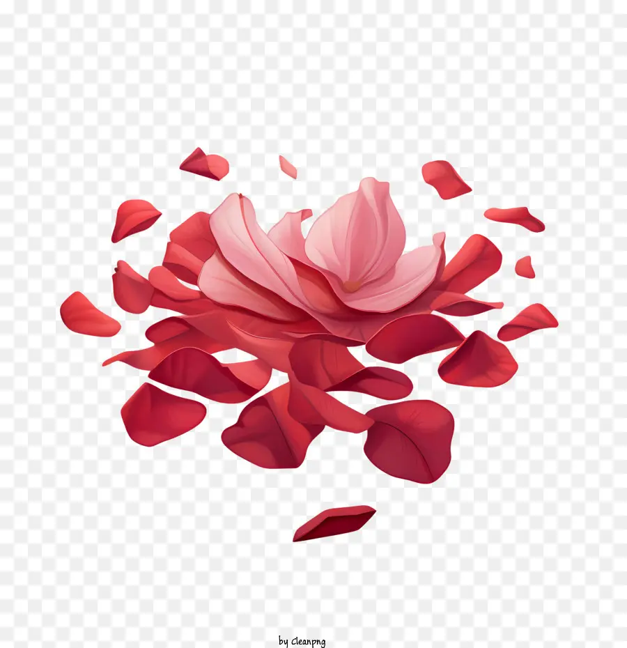 лепестки роз，блюминг PNG