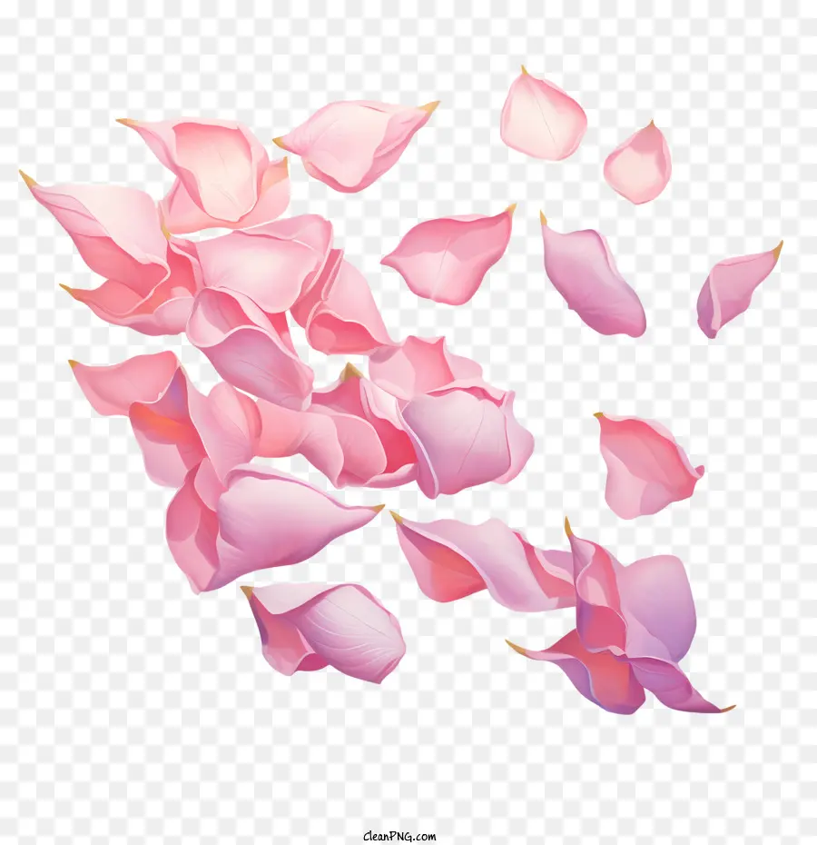лепестки роз，розовые лепестки PNG
