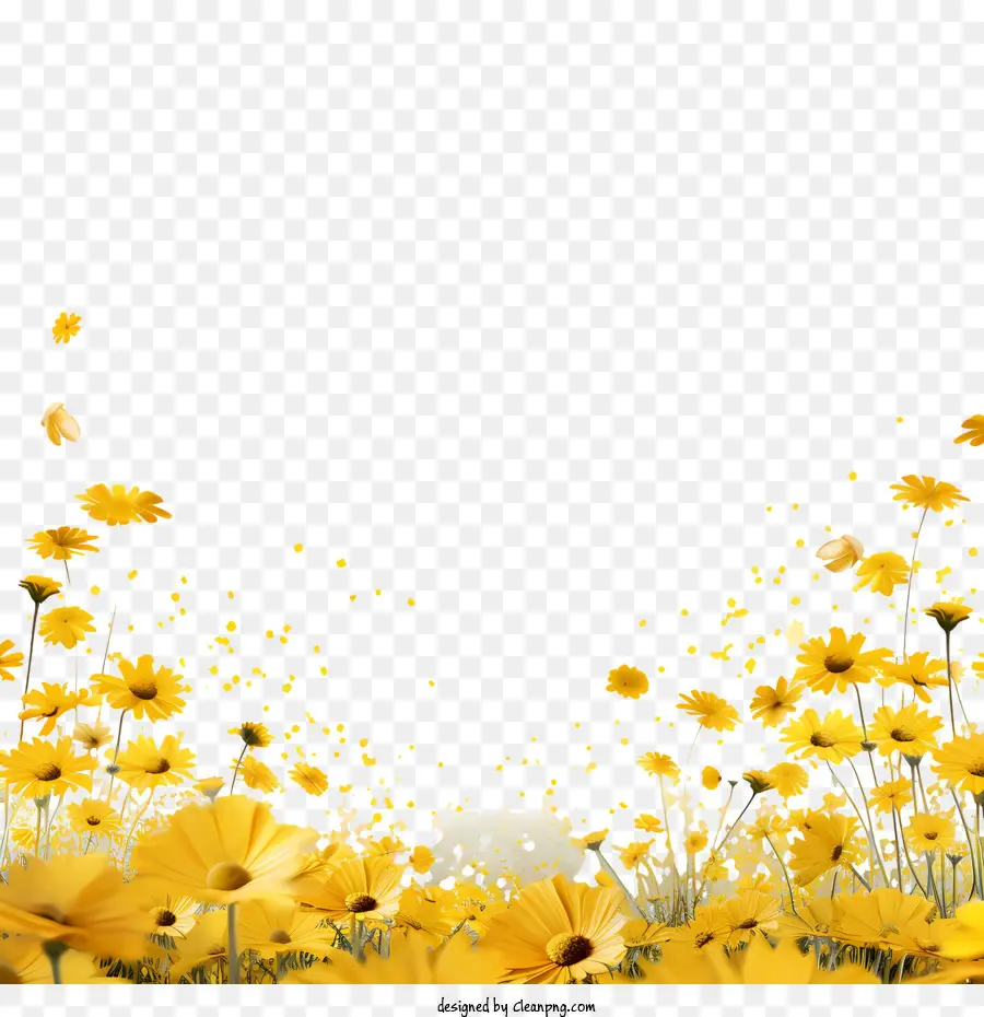 желтые цветы，полевые цветы PNG