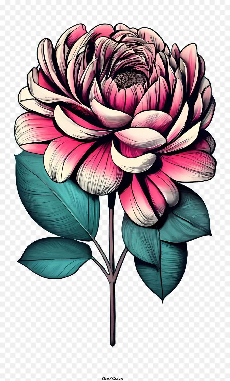 старинные розы，розовый цветок PNG