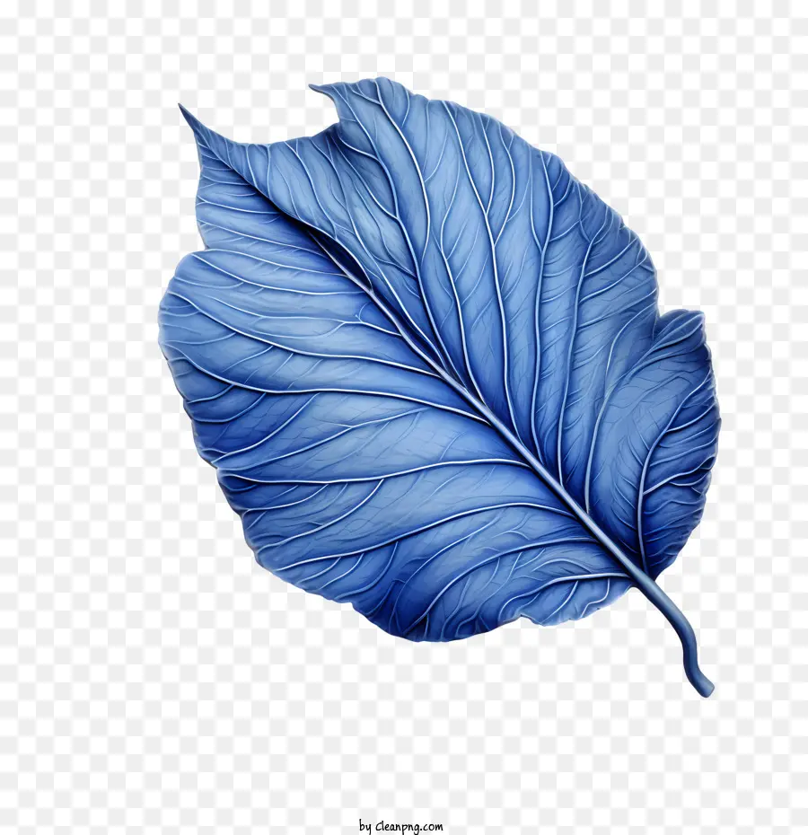 синие листья，Лист PNG