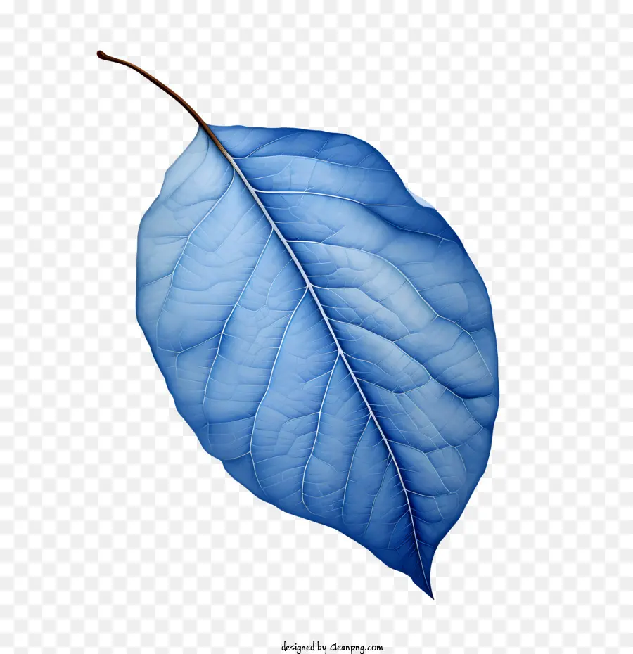 синие листья，зеленый PNG