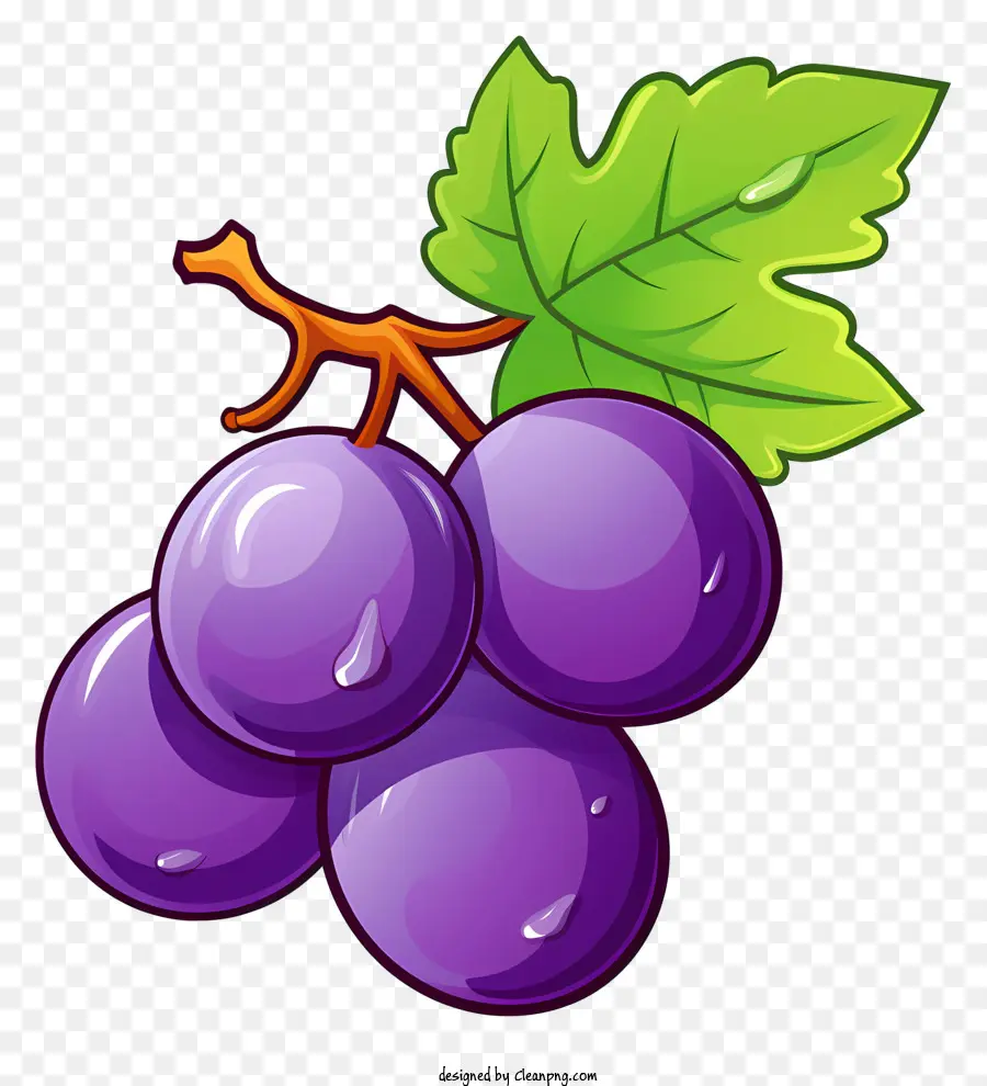 фиолетовый виноград，капли воды PNG