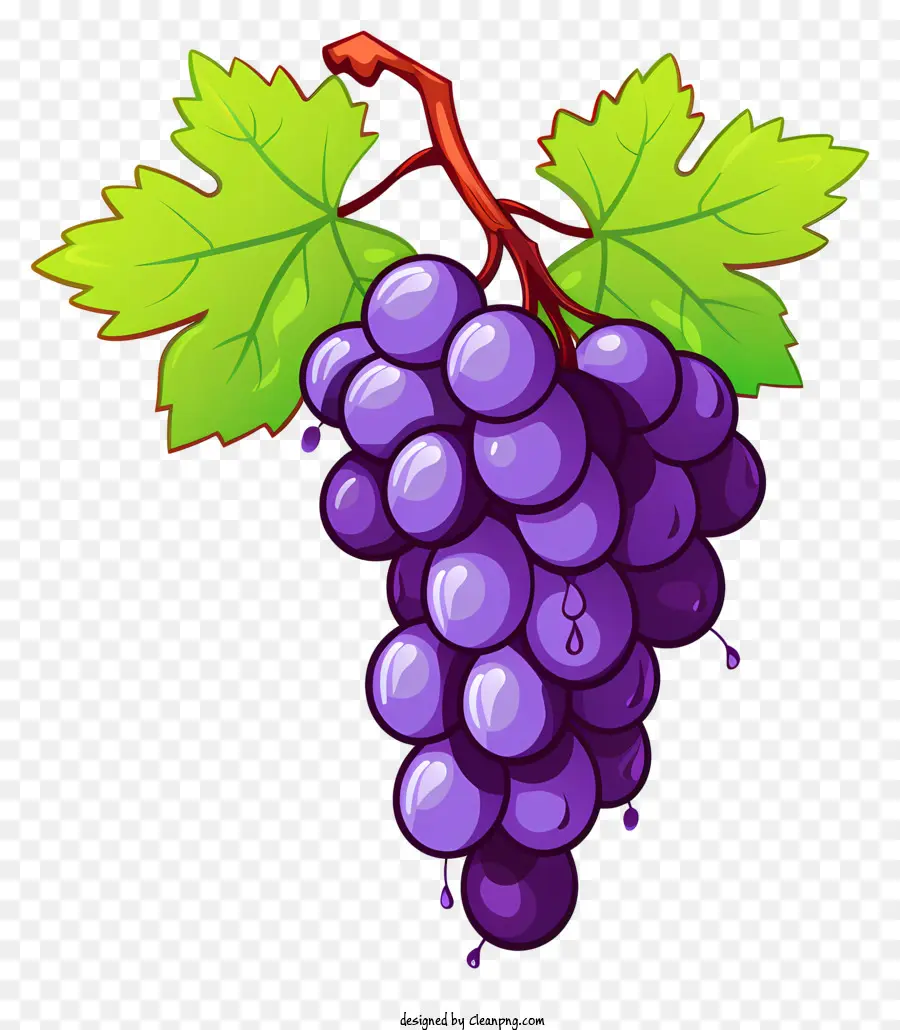виноградная лоза，фиолетовый виноград PNG