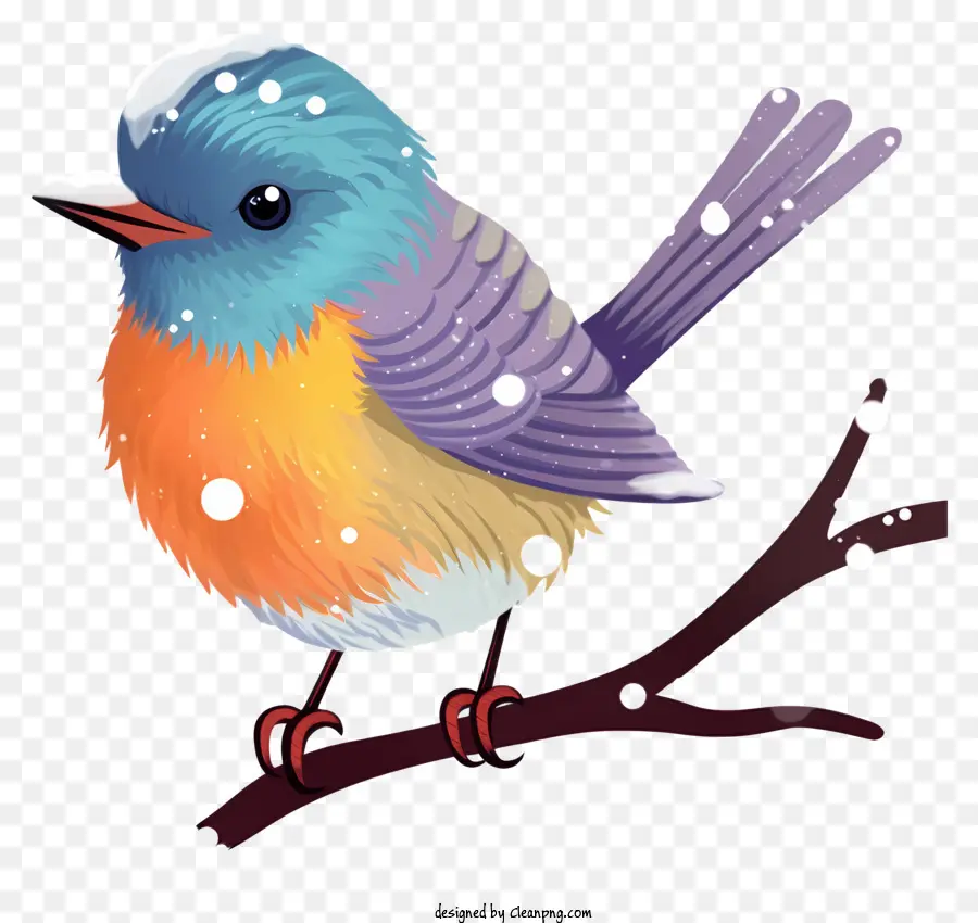 маленькая птичка，красочные птицы PNG