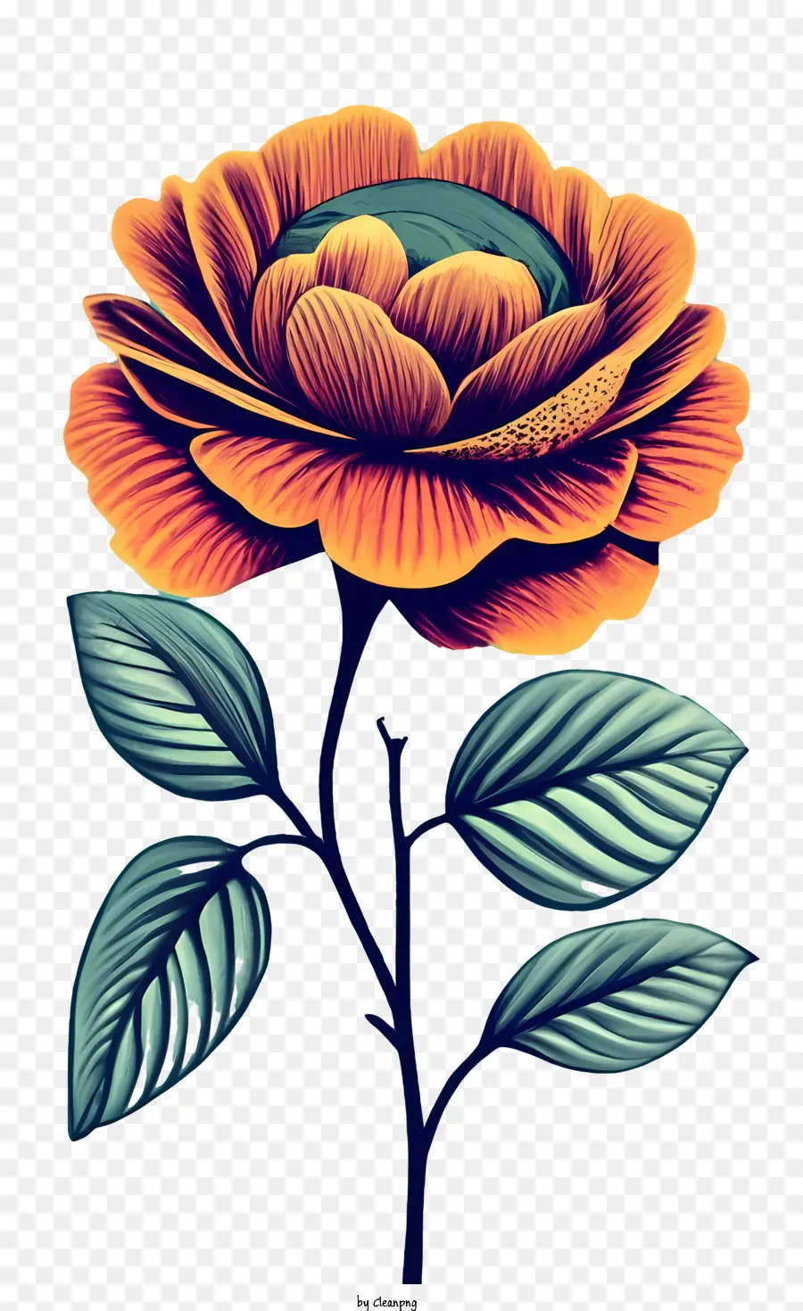 старинные розы，цветок PNG