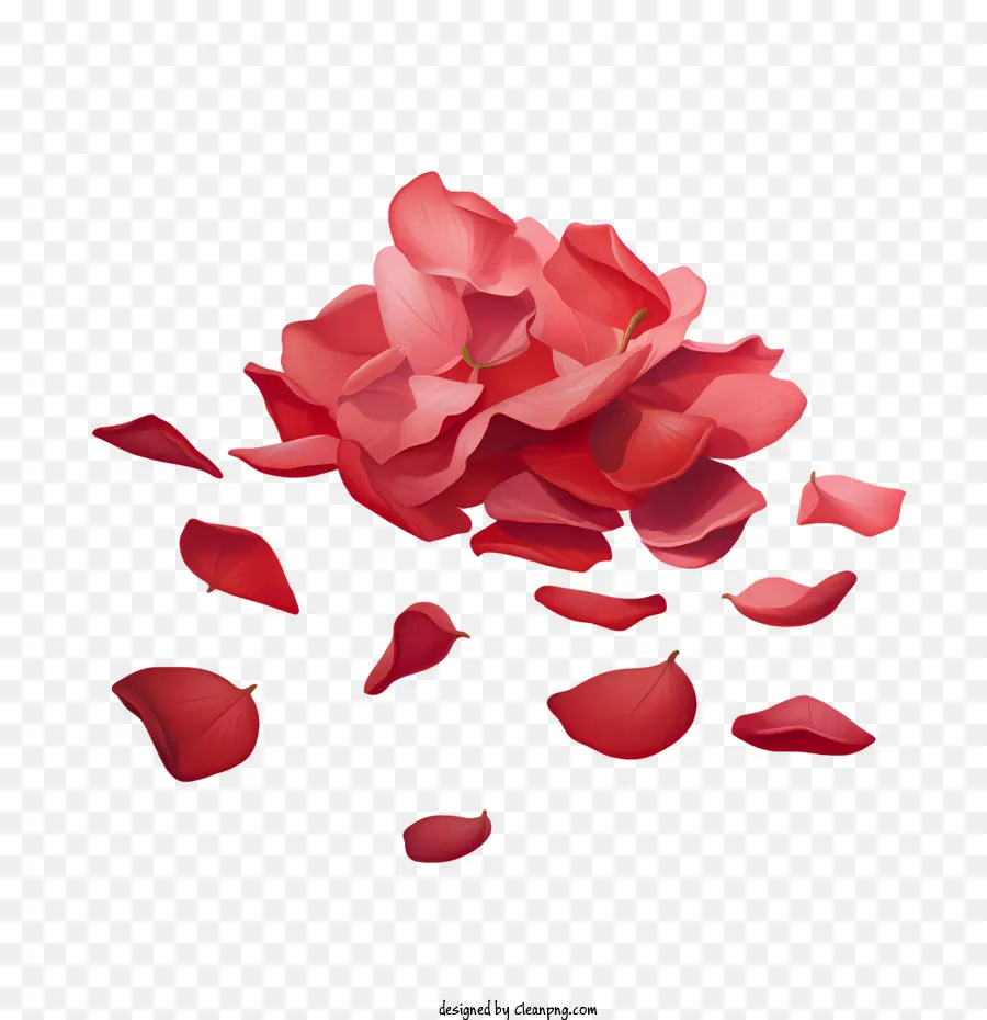 лепестки роз，Розы PNG