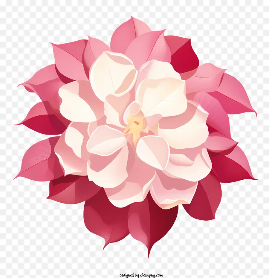лепестки роз，розовый PNG