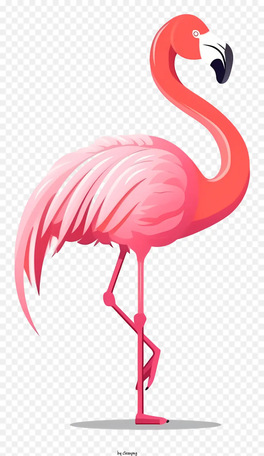 Pink Flamingo，фламинго стоящий на одной ноге PNG