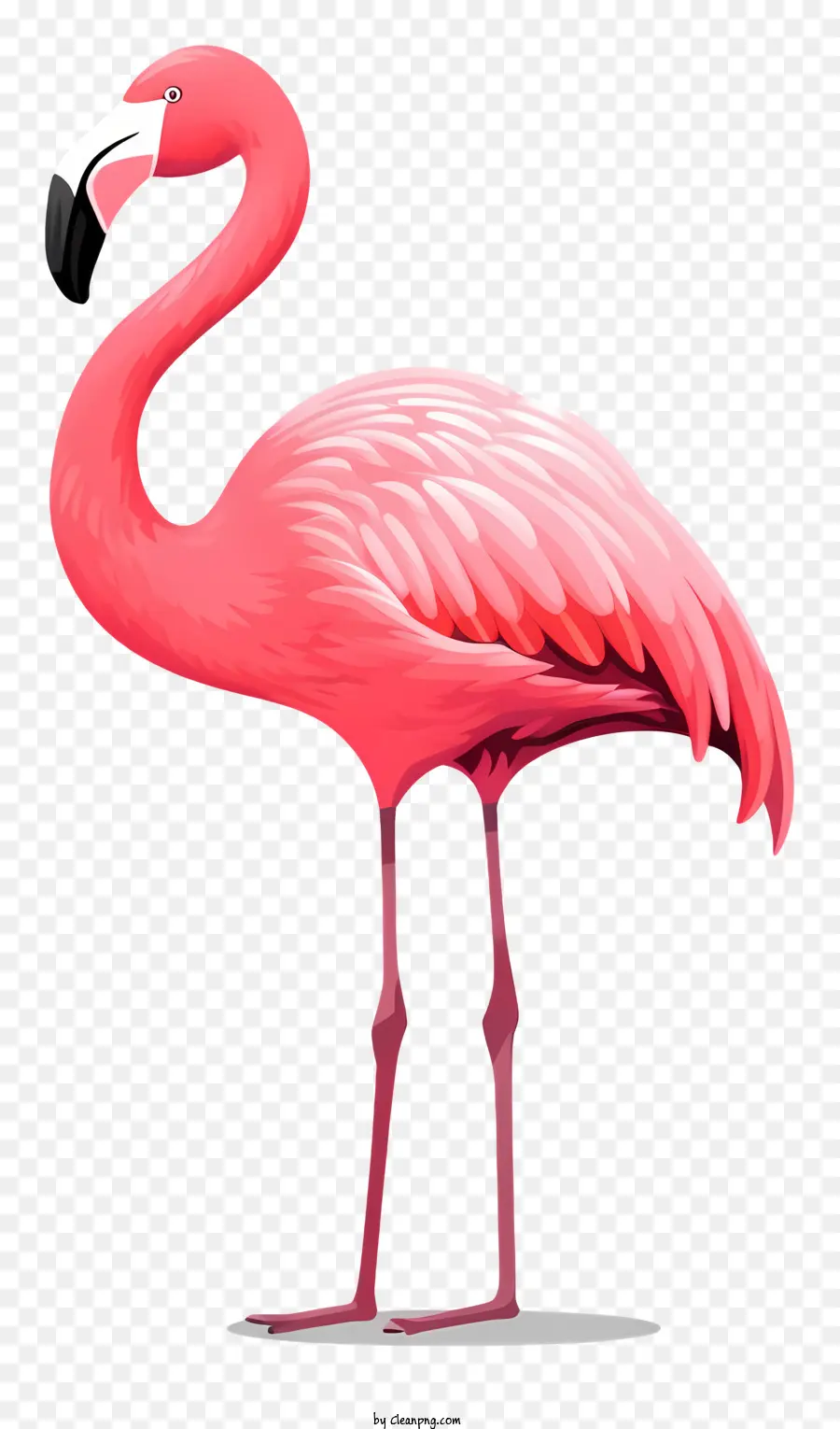 Pink Flamingo，фламинго стоящий на одной ноге PNG