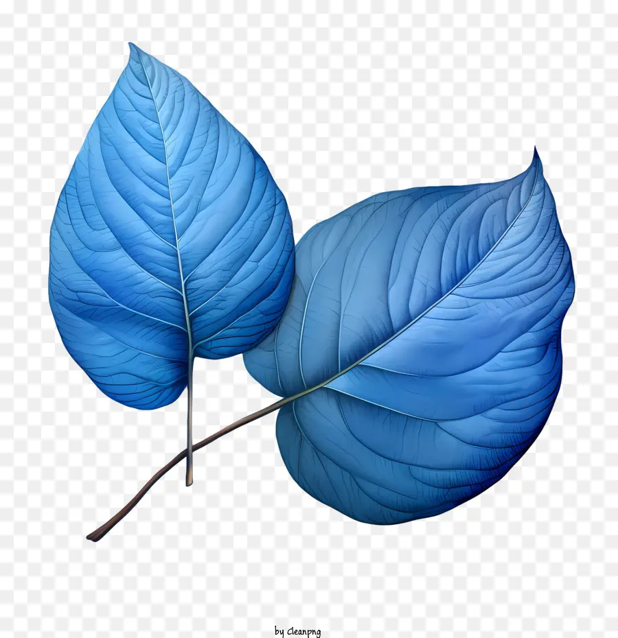 синие листья，листья PNG