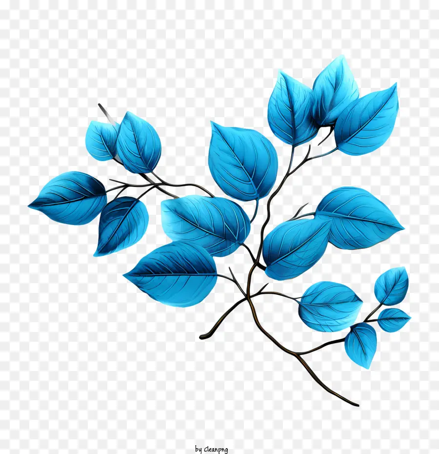 синие листья，Филиал PNG