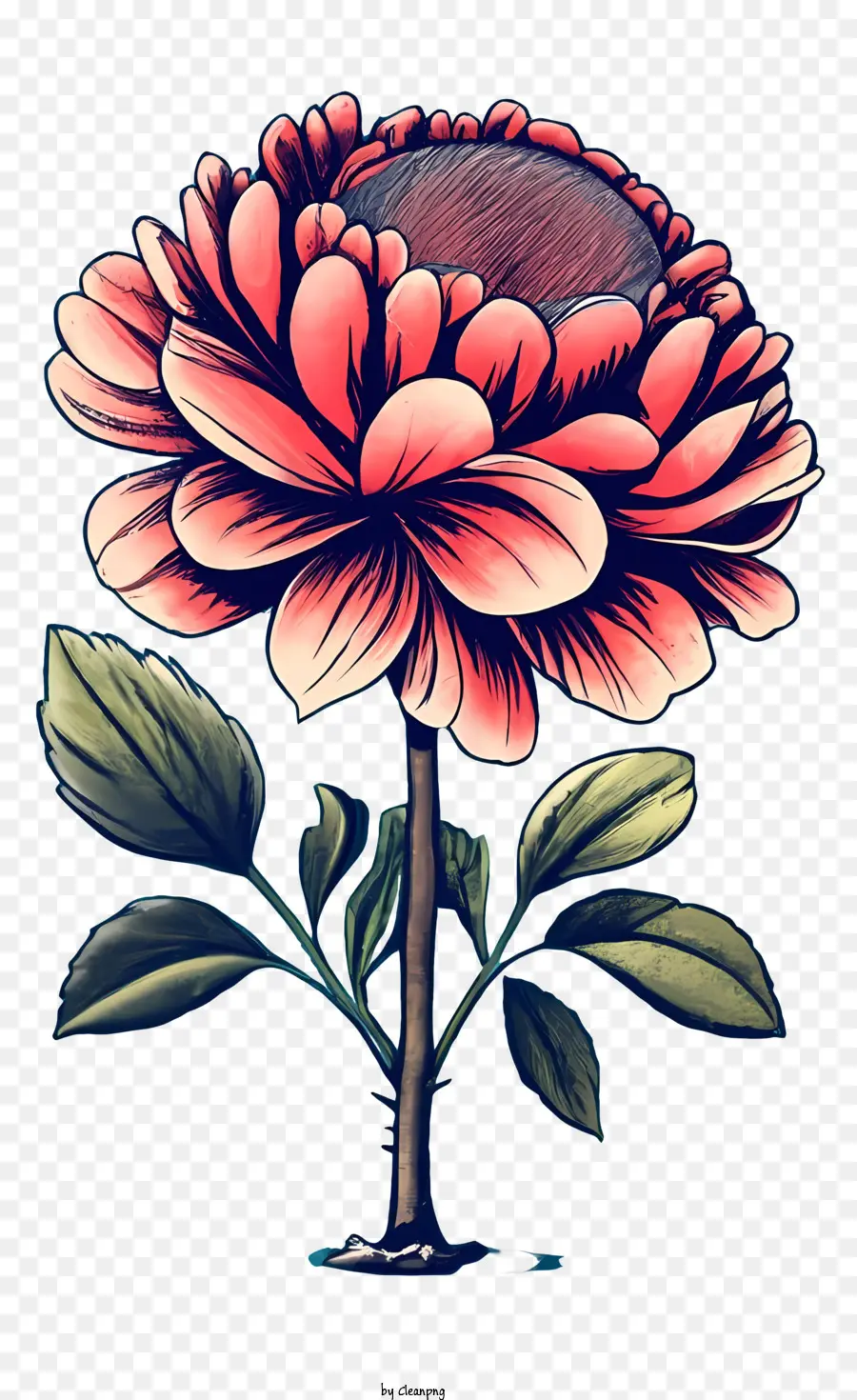 старинные розы，цветок PNG