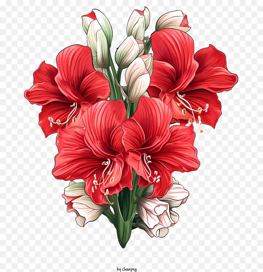 Цветок Амариллис，красные цветы PNG