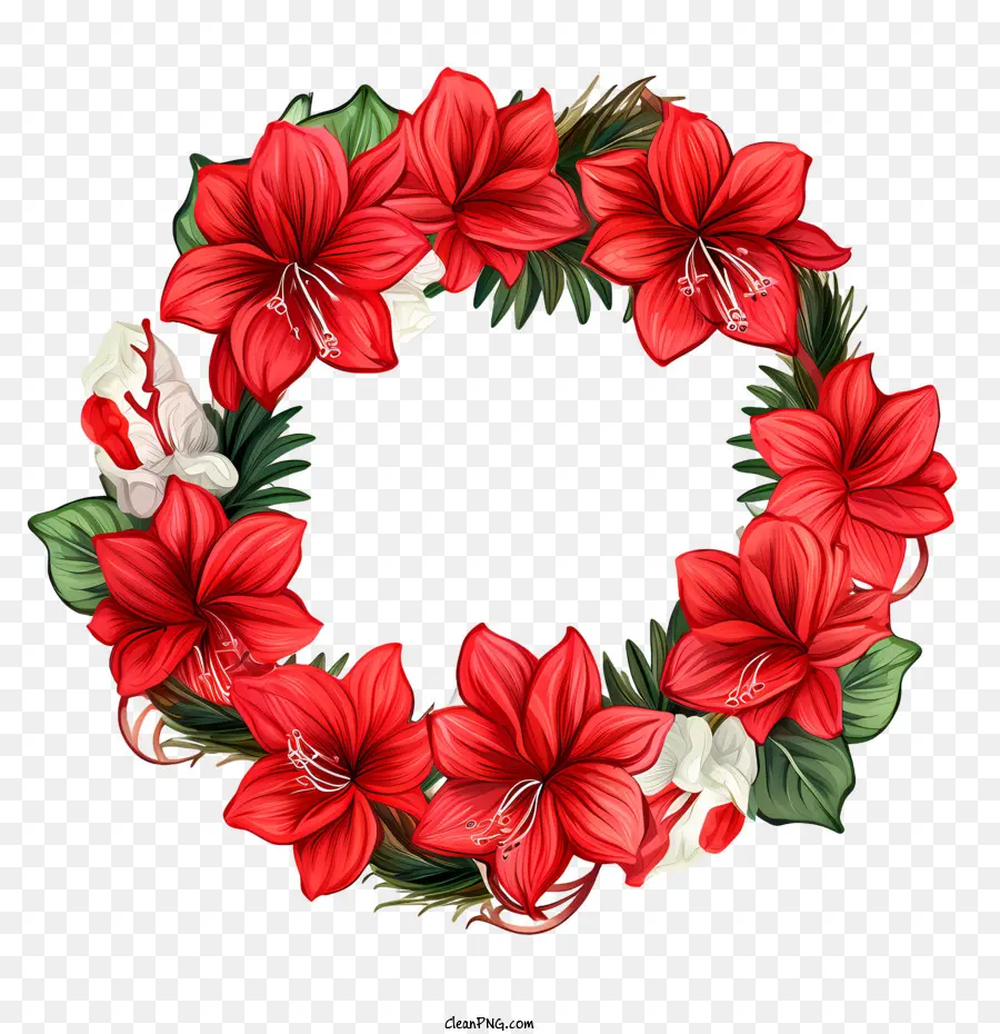 Цветок Амариллис，красный PNG