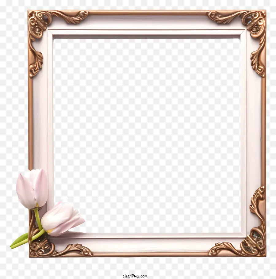 Декоративная Рамка，розовый тюльпан PNG