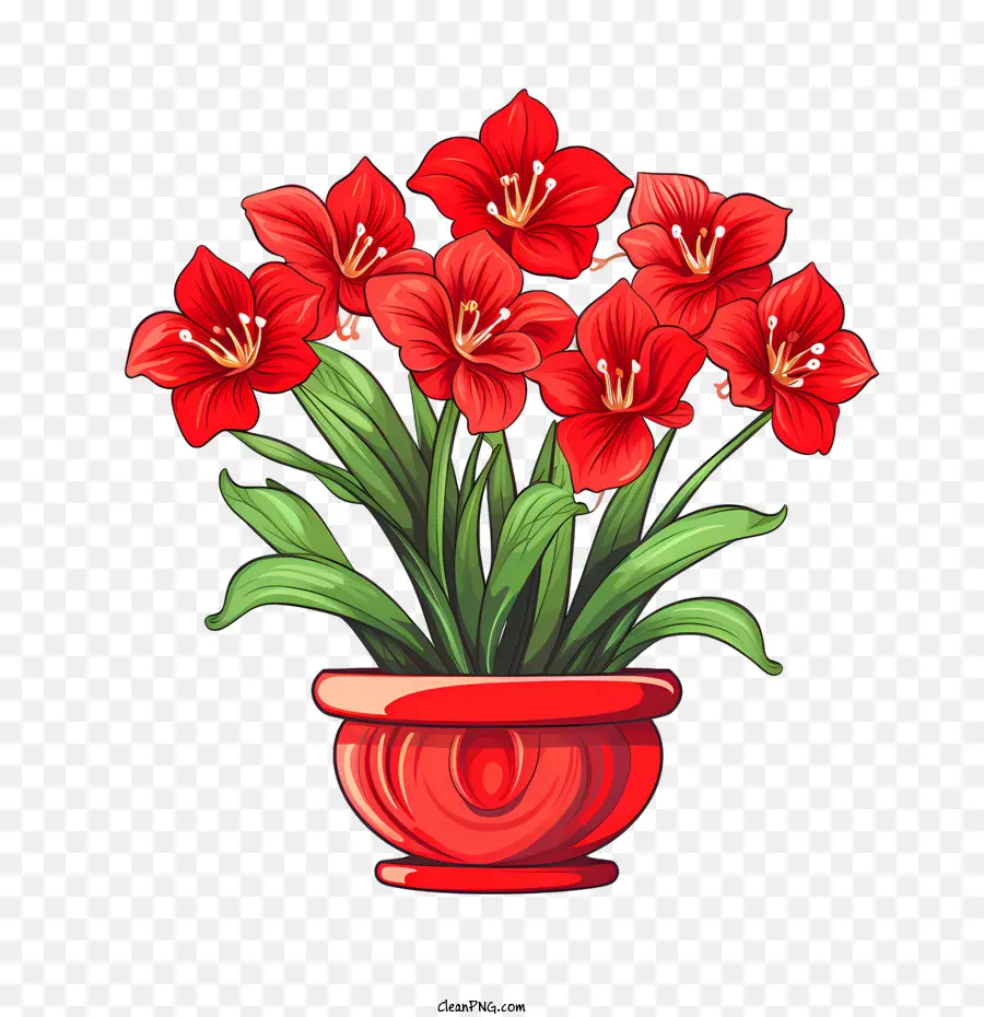 Цветок Амариллис，красные цветы PNG