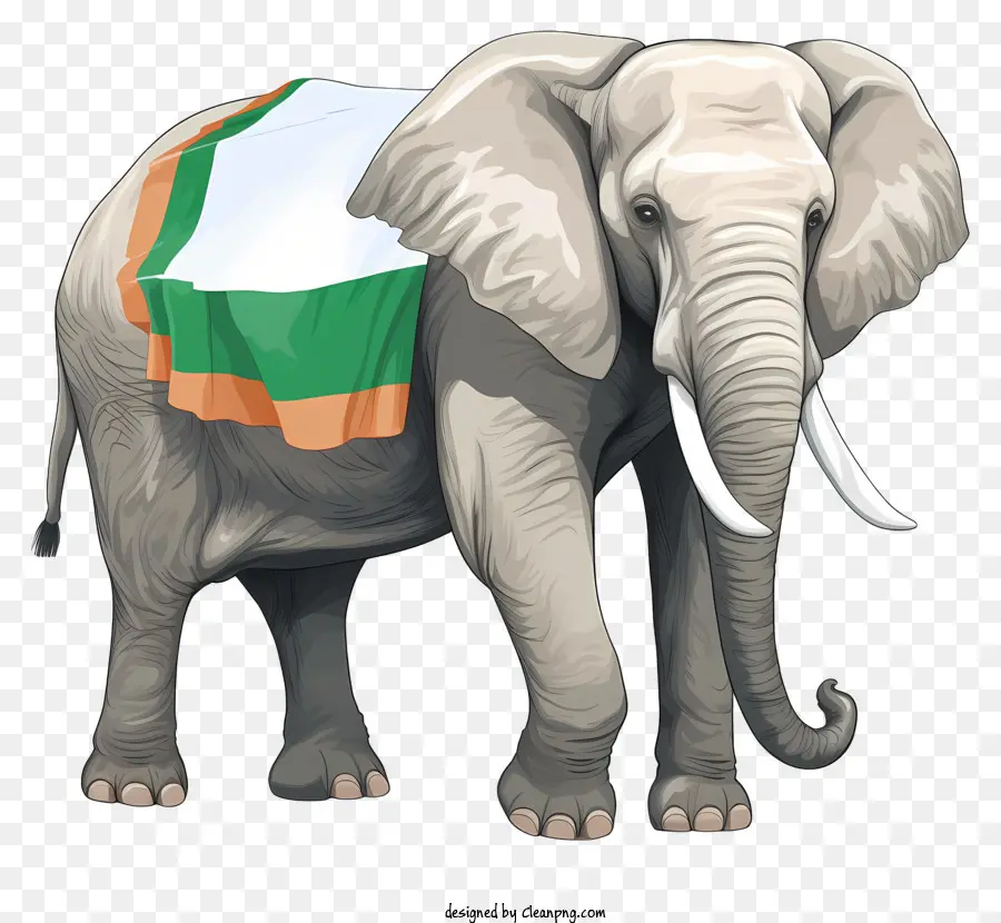 большой слон，сари PNG