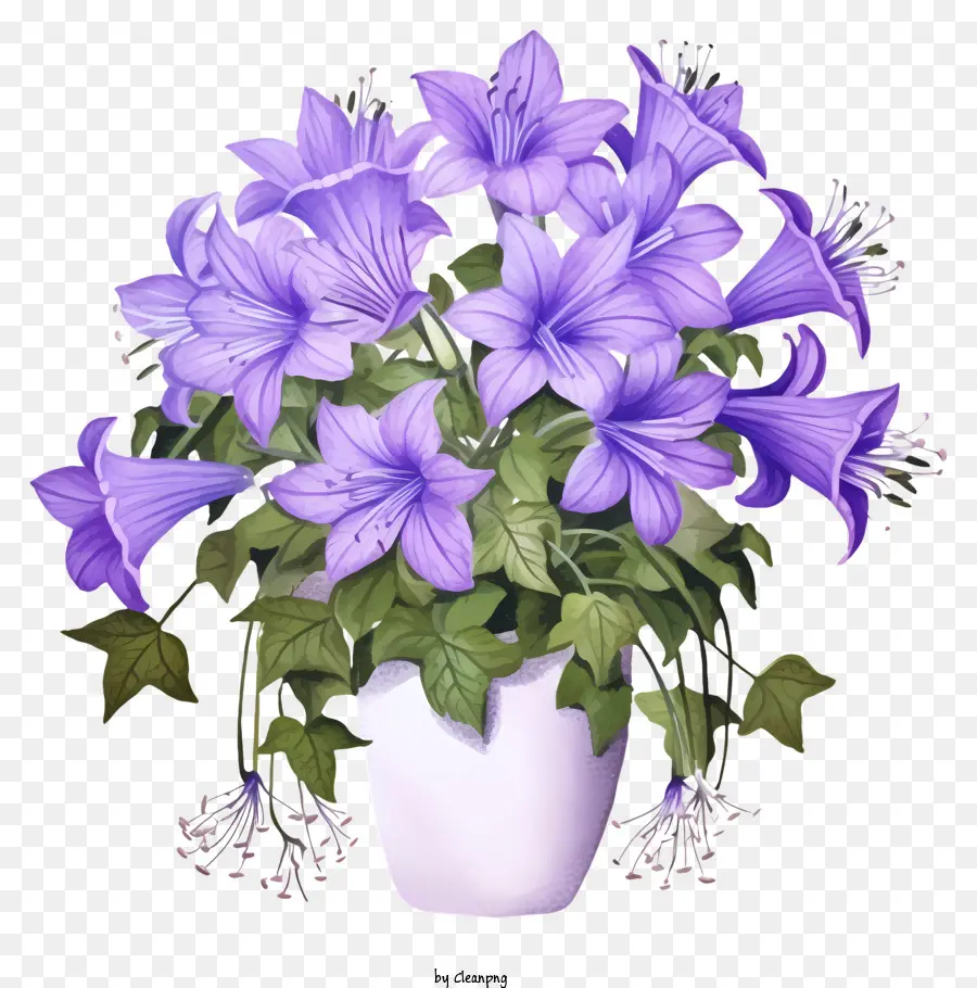 белая ваза，синие цветы PNG